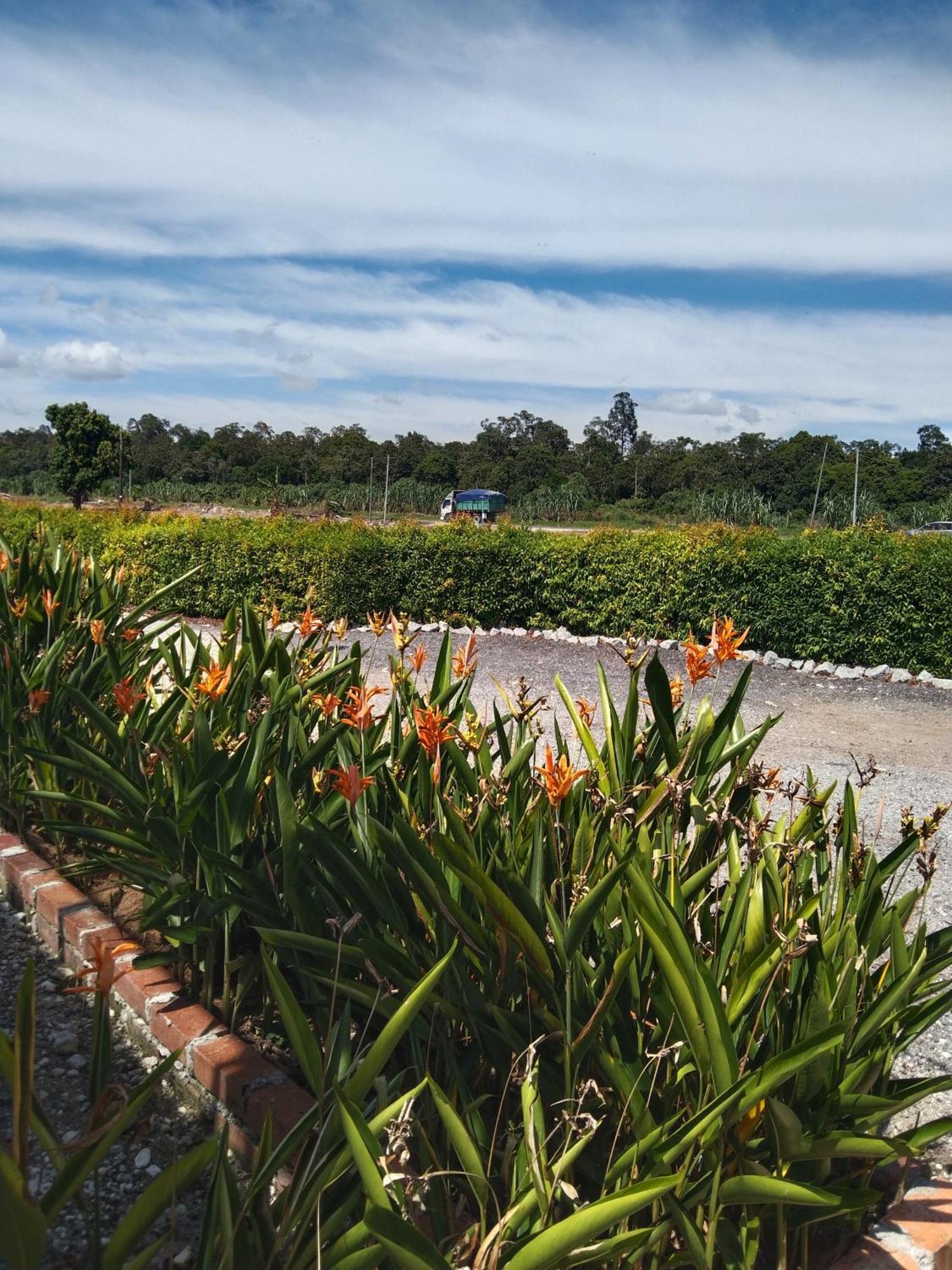 Casa Villa Homestay סקינצ'אן מראה חיצוני תמונה